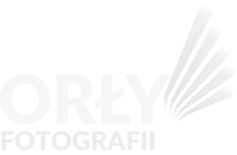 Orły Fotografii